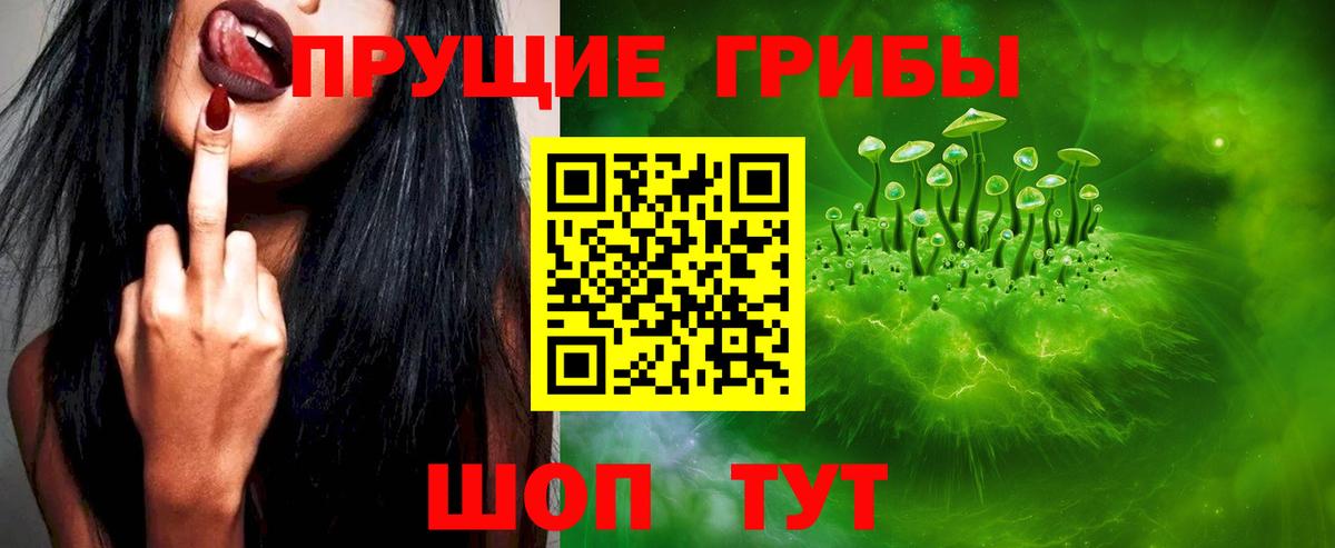 Псилоцибиновые грибы прущие грибы Сегежа
