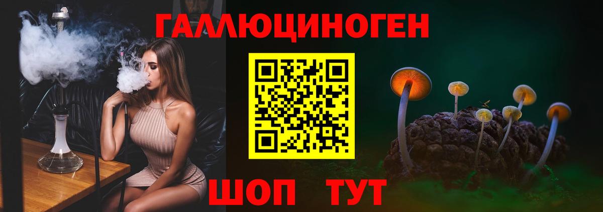 Сегежа  Галлюциногенные грибы Psilocybe  Вход с VPN 